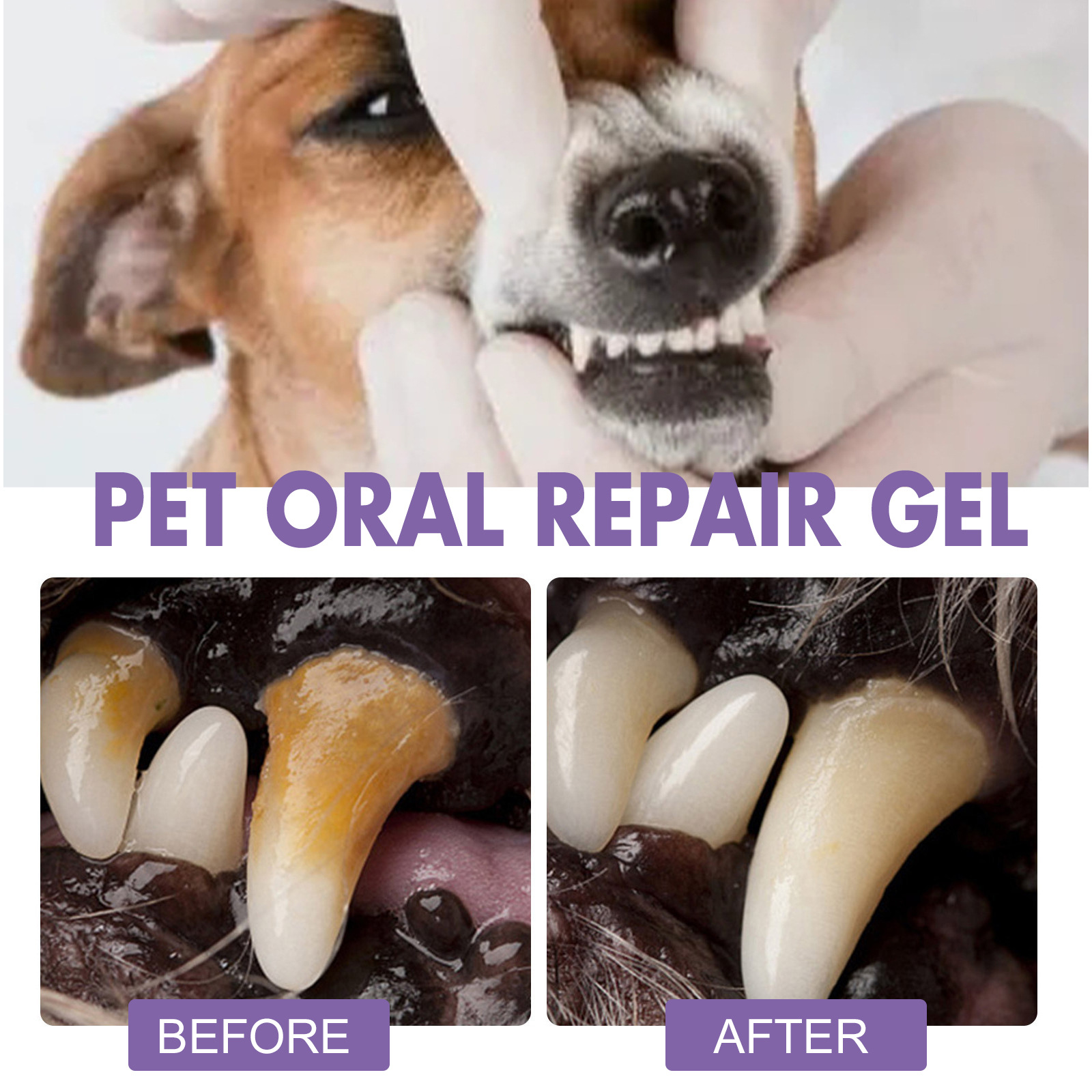 Pet Oral Repair Gel Puppy Tart - огляд і ціна Teeth Whitening Ai